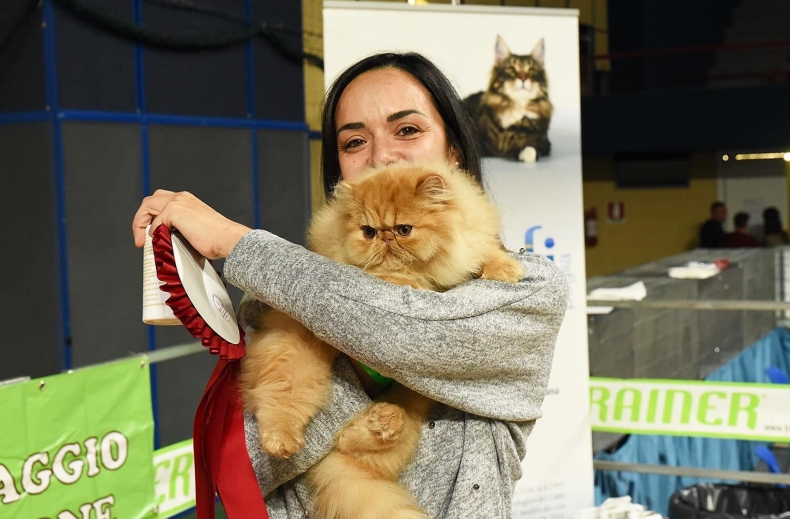 Esposizione Internazionale Felina Di Bari