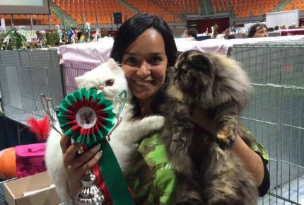 EXPO FELINA INTERNAZIONALE 2016 LIVORNO