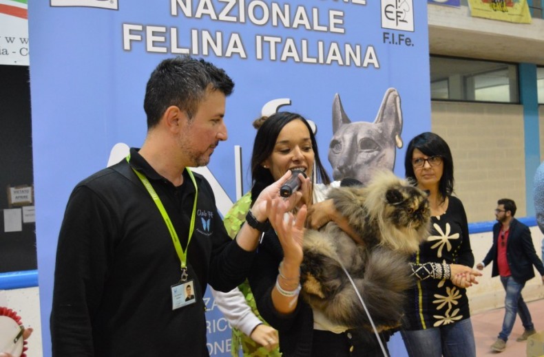 Felina BARI 2017 - Esposizione Internazionale Felina 6° Edizione