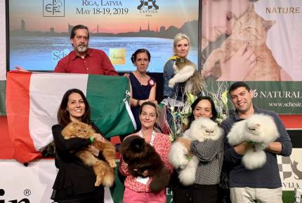 FiFE Baltic Winner Show - Riga 2019