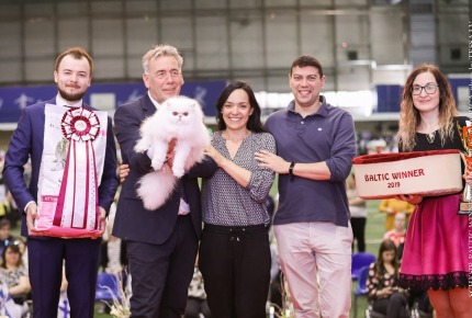 FiFE Baltic Winner Show - Riga 2019