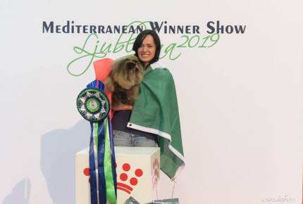 FIFe Mediterranean Winner Show - Ljubljana 2019