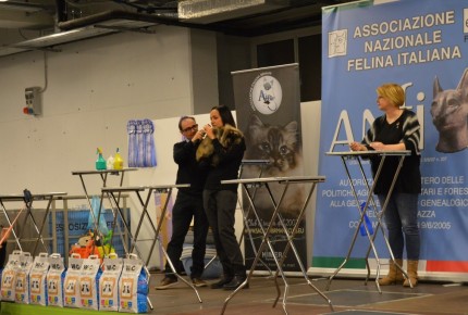 Golden Cat Show 2017 Expo Felina Riva del Garda