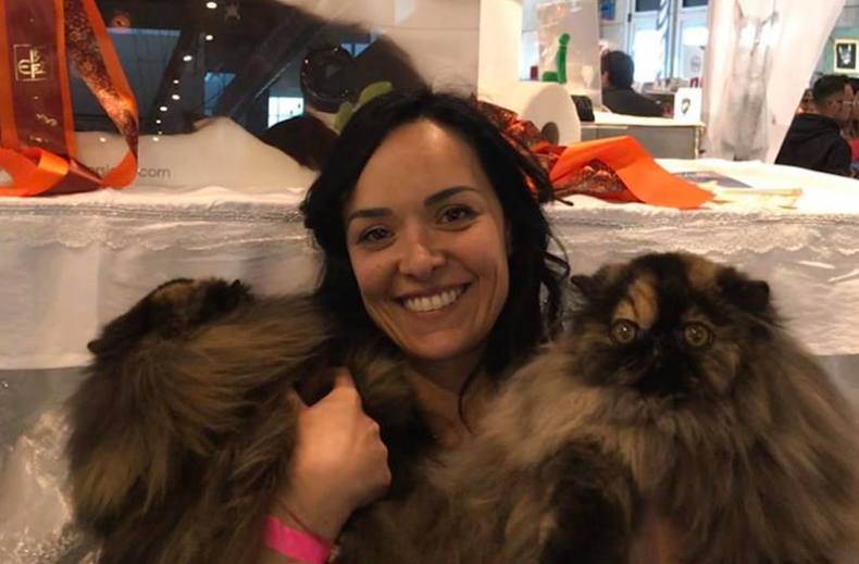 Mostra Felina Star Cats Show 2019 - Parma