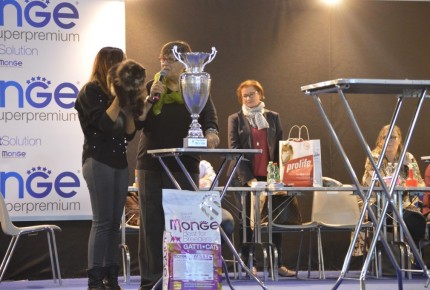 Supercatshow 2017 Roma