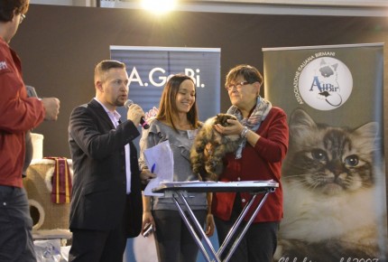 Supercatshow 2017 Roma