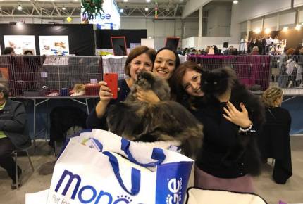 Supercatshow 2017 Roma