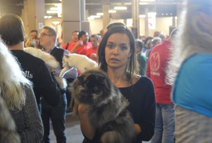 World Show 2017 - Rijswijk in Olanda