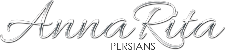 AnnaRita Persians – Allevamento Gatti Persiani puri di altissima genealogia